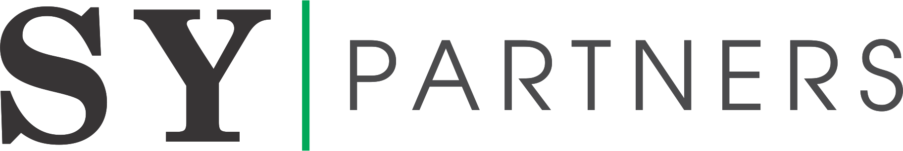48. CÔNG TY CỔ PHẦN SY PARTNERS